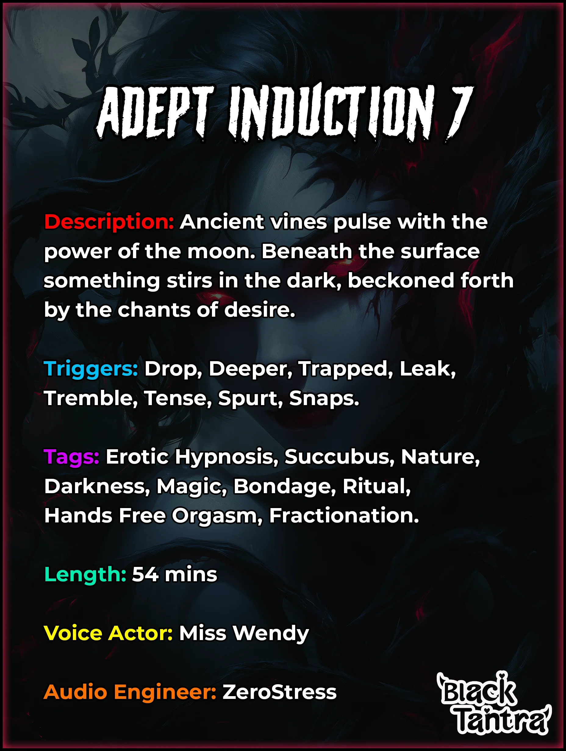 Audio Cover Back